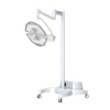 Medical Adjustable Lighting Operating Light With Handle