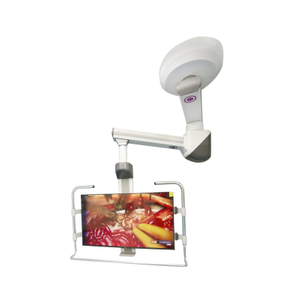 DT180 Electric Double Arms Monitor Pendant